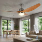 Ventilateur de plafond Orbegozo, lumière LED, télécommande, pales en bois naturel, CP96160 Ventilateur de plafond Orbegozo, lumière LED, télécommande, pales en bois naturel, CP96160