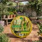 Tubo da giardino Cierzo da 25 mm, 25 metri | Tubo da giardino | Irrigazione efficiente | Giardino e esterni