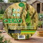 Cierzo 19-mm-Gartenschlauch, 25 Meter | Gartenschlauch | Effiziente Bewässerung | Garten und Outdoor Cierzo 19-mm-Gartenschlauch, 25 Meter | Gartenschlauch | Effiziente Bewässerung | Garten und Outdoor