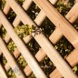Panneau treillis en bois 50x180 cm, carrés de 9 cm. Panneau de bois décoratif, Séparation des espaces, Décoration de jardin