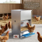 Automatischer Futterautomat für 15 Hennen | Fassungsvermögen 40 kg | Hühnerbehälter 50 x 40 x 60 cm Automatischer Futterautomat für 15 Hennen | Fassungsvermögen 40 kg | Hühnerbehälter 50 x 40 x 60 cm