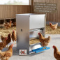 Mangiatoia automatica per 10 galline | Capacità 20 kg | Tramoggia per galline 30x42x55 cm