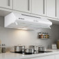 Cappa aspirante standard Orbegozo bianca | 80W | Illuminazione a LED | Aspirazione fumi | Larghezza 60 cm Cappa aspirante standard Orbegozo bianca | 80W | Illuminazione a LED | Aspirazione fumi | Larghezza 60 cm