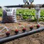 Confezione da 500 tubi per irrigazione a goccia da 8 litri per agricoltura e giardinaggio | Tubi per irrigazione a goccia forati Confezione da 500 tubi per irrigazione a goccia da 8 litri per agricoltura e giardinaggio | Tubi per irrigazione a goccia forati