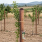 Palo per alberi 150 cm Ø 8 cm | Pali per piante senza punte | Palo per recinzioni, giardino e piante | Palo in legno Palo per alberi 150 cm Ø 8 cm | Pali per piante senza punte | Palo per recinzioni, giardino e piante | Palo in legno