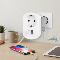  Plug with 2 Orbegozo USB connections.  Maximum supported power: 3680 W.