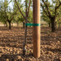 Pack 5 Estacas para Arboles 150 cm Ø 10 cm | Tutores sin Punta de Madera | Postes para Vallas, Jardin, Pergolas y Plantas