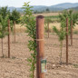 Pack 5 Estacas para Arboles 150 cm Ø 10 cm | Tutores sin Punta de Madera | Postes para Vallas, Jardin, Pergolas y Plantas