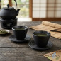 Conjunto de 2 xícaras de ferro fundido de 120ml | Com pires incluído | Xícaras de chá japonesas | Para infusões e para servir ch