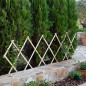 Treliça de madeira 150x180 cm | Treliça interna e externa | Treliça extensível | Treliça decorativa | Jardim Celosia Treliça de madeira 150x180 cm | Treliça interna e externa | Treliça extensível | Treliça decorativa | Jardim Celosia