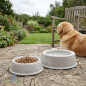 Model S concrete dog feeder and drinker. Capacity 0.75 litres.  21 x 7 cm high.