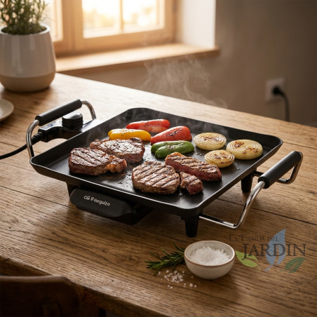 Tavolo da barbecue Orbegozo. Termostato regolabile. Superficie arrosto 275x275 mm. NON ADERENTE. Potenza 1500W.