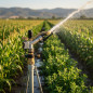 Canon d'irrigation ludique | Arroseur agricole réglable | Embouts femelles 1" | Canons d'irrigation de 12,5 à 19,5 m