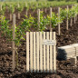 Lot de 20 Tuteur en bois 150 cm Ø 3 cm | Tuteurs avec Pointe | Poteaux en Bois | Piquets de Fixation | Piquets de Jardin Lot de 20 Tuteur en bois 150 cm Ø 3 cm | Tuteurs avec Pointe | Poteaux en Bois | Piquets de Fixation | Piquets de Jardin