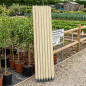 Set di 20 Pali tutori di legno da 150 cm, diametro 3 cm. Utile per la costruzione di recinzioni, recinti, supporti per alberi Set di 20 Pali tutori di legno da 150 cm, diametro 3 cm. Utile per la costruzione di recinzioni, recinti, supporti per alberi
