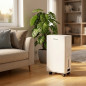 Déshumidificateur d'air | 265 W | 12 L | Design compact | Réduit l'humidité ambiante | Idéal pour les chambres et les salles de