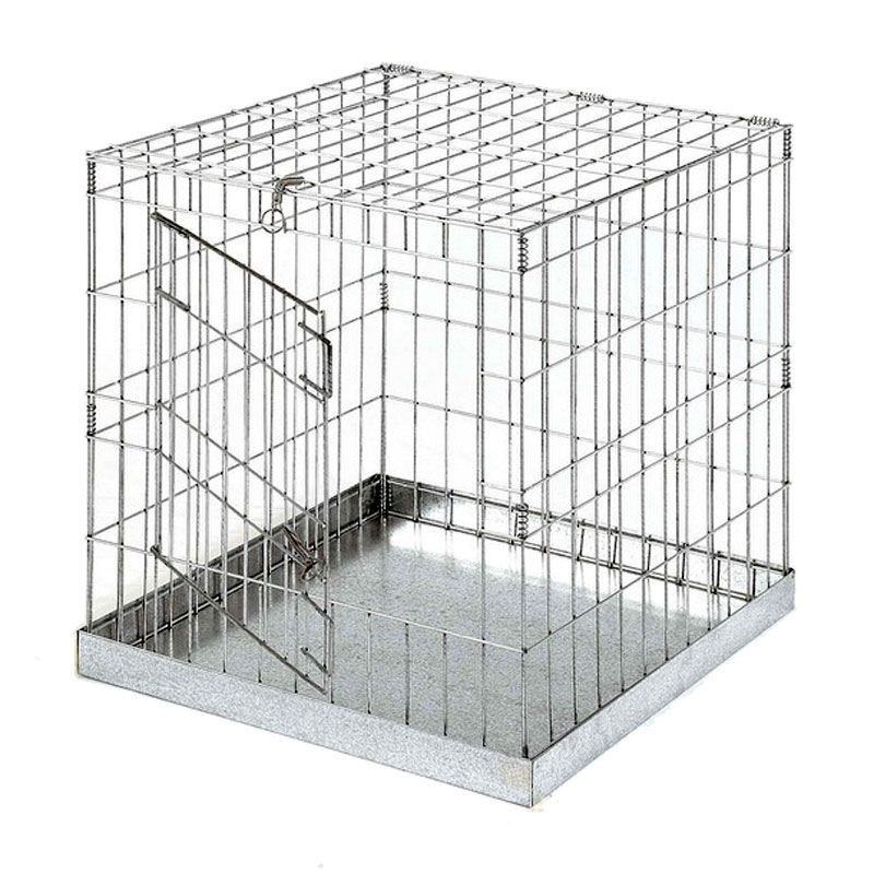 Cage d'exposition avec porte pour oiseaux 60x60 cm avec porte