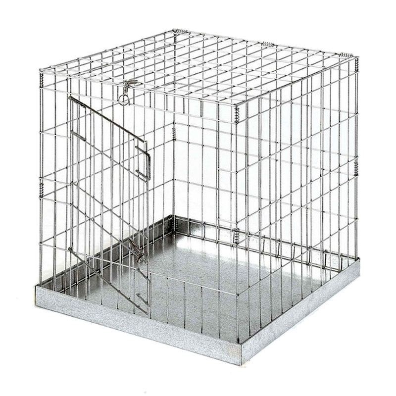 Gaiola para pássaros com porta, 60x60 cm | Gaiola de metal para pássaros | Chapa galvanizada | Fácil de limpar Gaiola para pássaros com porta, 60x60 cm | Gaiola de metal para pássaros | Chapa galvanizada | Fácil de limpar