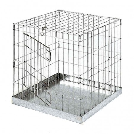 Exhibition cage with door for birds 60x60 cm