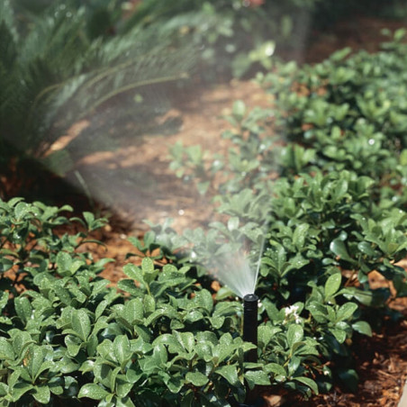 Difusor pop-up NP de 5 cm com bico KVF-8 | Alcance de 2,4 m | Ajustável de 0° a 360° | Irrigação precisa | Jardins pequenos