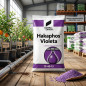 Engrais Hakaphos Violet 13-40-13 | Engrais NPK soluble avec oligo-éléments | Sac de 25 kg | Pour plantes florifères Engrais Hakaphos Violet 13-40-13 | Engrais NPK soluble avec oligo-éléments | Sac de 25 kg | Pour plantes florifères