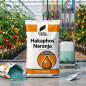 Hakaphos Orange 15-5-30 Fertilizer | Soluble NPK Fertilizer with Micronutrients | 25 kg Bag | For Fruit Fattening and Ripening