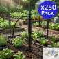 Pack 250 Estaca Riego por Goteo Recta | Estacas Microtubo 12,5 cm 2,6 Litros/hora | Piqueta de Riego Pica Gota