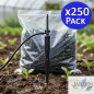 Pack 250 Estaca Riego por Goteo Recta | Estacas Microtubo 12,5 cm 2,6 Litros/hora | Piqueta de Riego Pica Gota