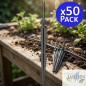 Lot de 50 piquets droits pour irrigation goutte à goutte | Piquets microtubes 12,5 cm 2,6 litres/heure | Piquets pour irrigation