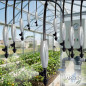 Pack 10 x Fogger Nebulizer 1 outlet.  Professional agricultural cooling system by fogging