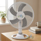 Orbegozo 3-Speed Desktop Fan | 45W Portable Oscillating Fan | Tilting Head Orbegozo 3-Speed Desktop Fan | 45W Portable Oscillating Fan | Tilting Head