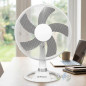 Ventilador de Sobremesa 3 Velocidades Orbegozo | Ventilador Oscilante Portatil 45W | Cabezal Inclinable Ventilador de Sobremesa 3 Velocidades Orbegozo | Ventilador Oscilante Portatil 45W | Cabezal Inclinable