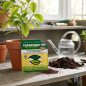 Esantrene Iron Chelate 50g | Iron Deficiency Corrector for Plants | Fertilizer with Chelated Iron Esantrene Iron Chelate 50g | Iron Deficiency Corrector for Plants | Fertilizer with Chelated Iron