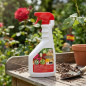 Pistola Insecticida Polivalente Massó 750 ml | Insecticida Listo para Usar | Control de Orugas, Pulgones y Otros Insectos Pistola Insecticida Polivalente Massó 750 ml | Insecticida Listo para Usar | Control de Orugas, Pulgones y Otros Insectos