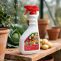 Massó Multipurpose Insecticide Gun 750 ml | Ready-to-Use Insecticide | Controls Caterpillars, Aphids and Other Insects