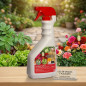 Massó Multipurpose Insecticide Gun 750 ml | Ready-to-Use Insecticide | Controls Caterpillars, Aphids and Other Insects