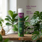 Spray lustrant pour feuilles de plantes vertes 600 ml | Spray lustrant naturel | Nettoie, protège et embellit l'apparence des fe Spray lustrant pour feuilles de plantes vertes 600 ml | Spray lustrant naturel | Nettoie, protège et embellit l'apparence des fe