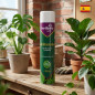 Leaf Shine Spray for Green Plants 600ml | Natural Shine Spray | Cleans, Protects and Enhances the Appearance of Leaves Leaf Shine Spray for Green Plants 600ml | Natural Shine Spray | Cleans, Protects and Enhances the Appearance of Leaves