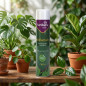 Spray lustrant pour feuilles de plantes vertes 600 ml | Spray lustrant naturel | Nettoie, protège et embellit l'apparence des fe Spray lustrant pour feuilles de plantes vertes 600 ml | Spray lustrant naturel | Nettoie, protège et embellit l'apparence des fe
