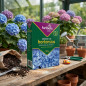 Abono Azulador para Hortensias 500gr, Mejora Color y Salud de las Hortensias Abono Azulador para Hortensias 500gr, Mejora Color y Salud de las Hortensias