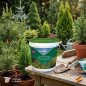 Anti-marrone di pini, cipressi, abeti, il tuo.  1 kg