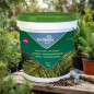Antiamarronamiento para Pinos, Cipreses y Abetos 1kg Antiamarronamiento para Pinos, Cipreses y Abetos 1kg