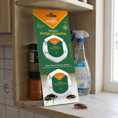 Piège à cafards. 2 récipients 4 gr