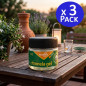 Pack 3 x Citronella gel 125 gr, effective product against mosquitoes