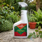 Insetticida contro afidi, per fusto e foglie, 750 ml Insetticida contro afidi, per fusto e foglie, 750 ml