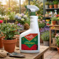 Insetticida contro afidi, per fusto e foglie, 750 ml Insetticida contro afidi, per fusto e foglie, 750 ml