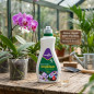 Abono Líquido Orquídeas Fertiberia 500ml, Fertilizante Específico para Orquídeas Abono Líquido Orquídeas Fertiberia 500ml, Fertilizante Específico para Orquídeas