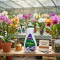 Fertiberia Orchidee Flüssigdünger, 500 ml Fertiberia Orchidee Flüssigdünger, 500 ml