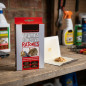 Adhesive mouse trap. 