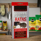 Adhesive rat trap. 